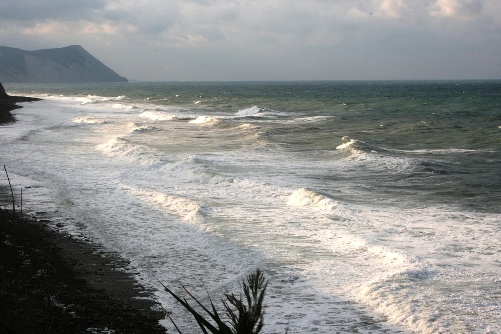 Photograph by Светлана Олина