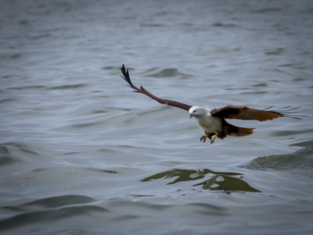 Photograph by Cindy Quek