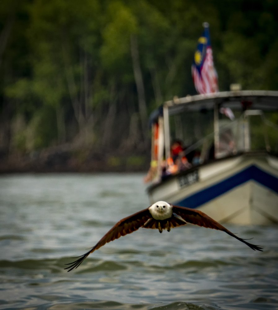 Photograph by Cindy Quek