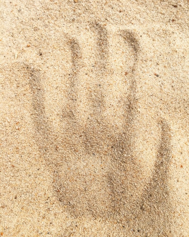 Photograph by Кадырова Марина