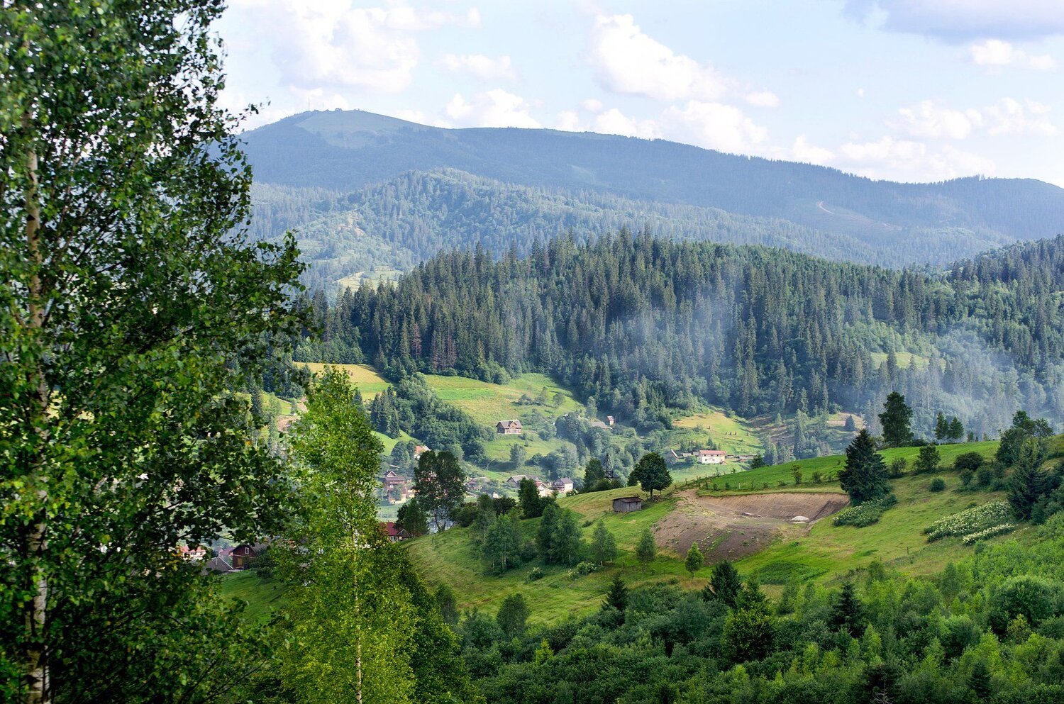 Photo #5118336