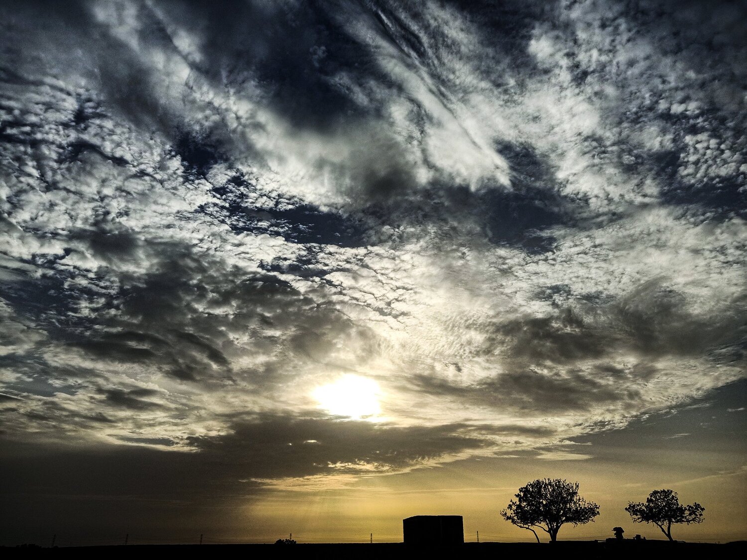 Photo #5118337