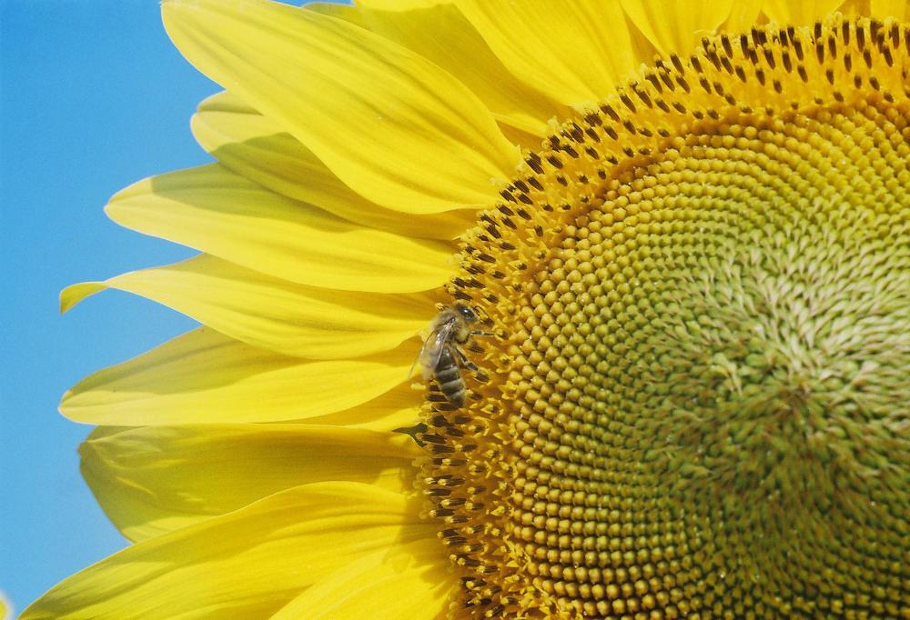 Фотография автора Kreculj Dejan