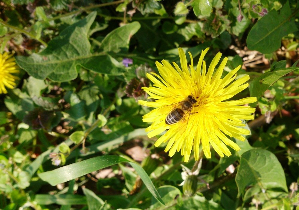 Фотография автора Kreculj Dejan