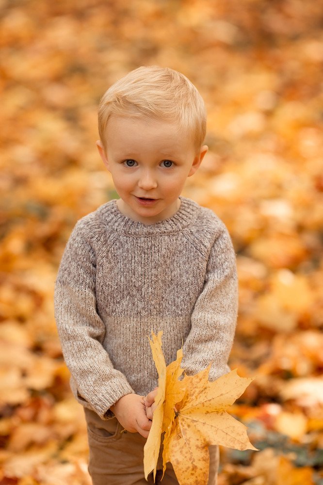 Photograph by Богданова Екатерина