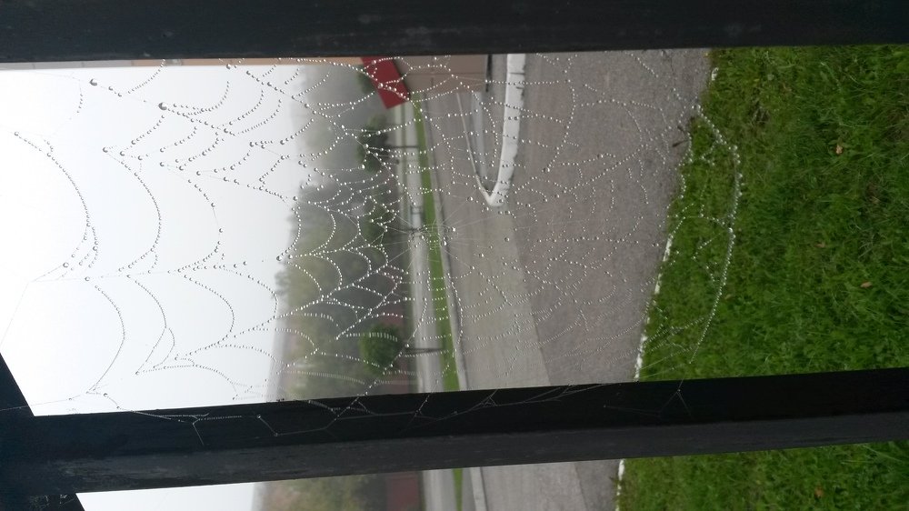 Photo #5118394