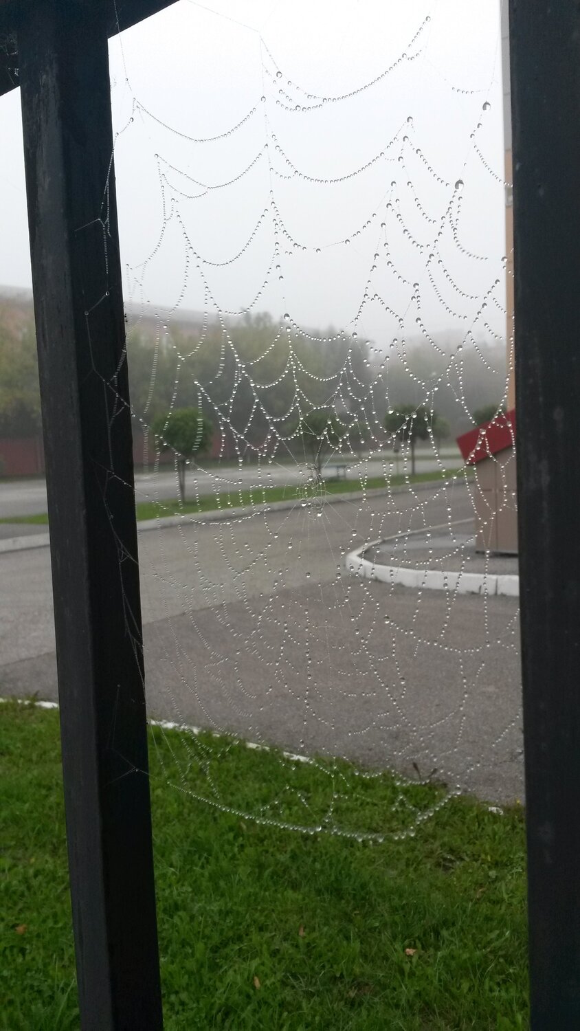 Photo #5118394