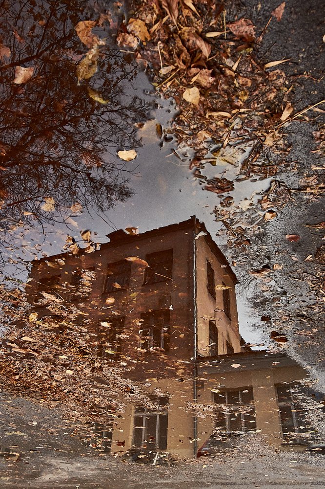 Photograph by Елена Ельцова