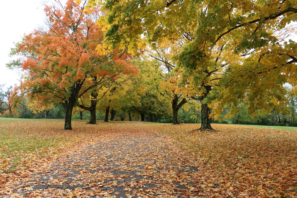 Photograph by Маргарита Венсил.