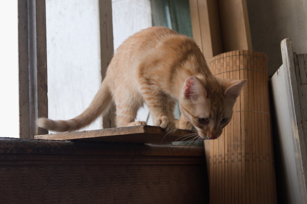 Photograph by Башлаев Константин