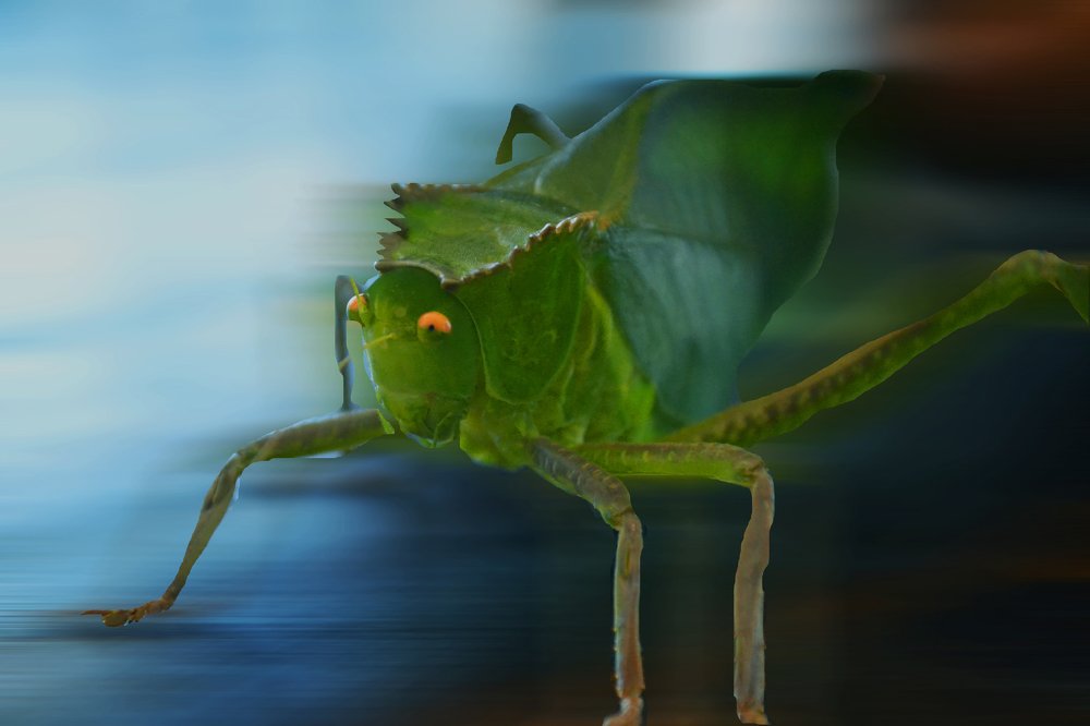 Фотография автора Yako Laverde