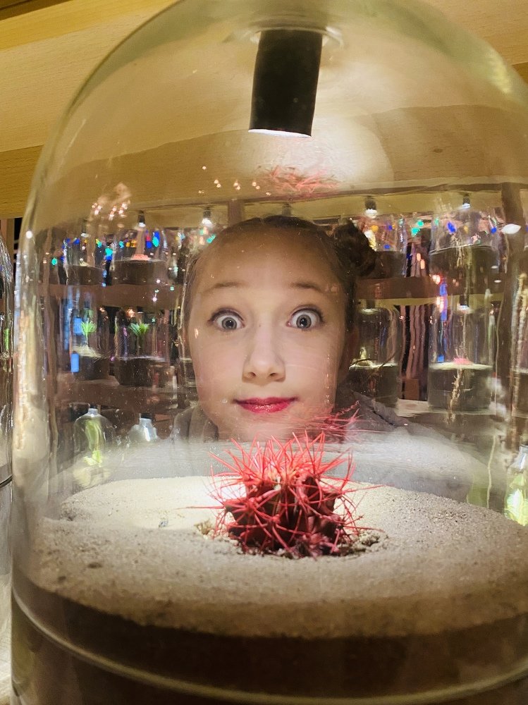 Фотография автора Maria Alekseeva