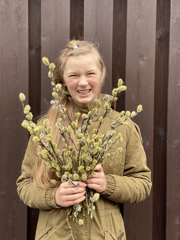 Фотография автора Maria Alekseeva