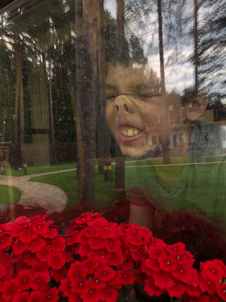 Фотография автора Maria Alekseeva