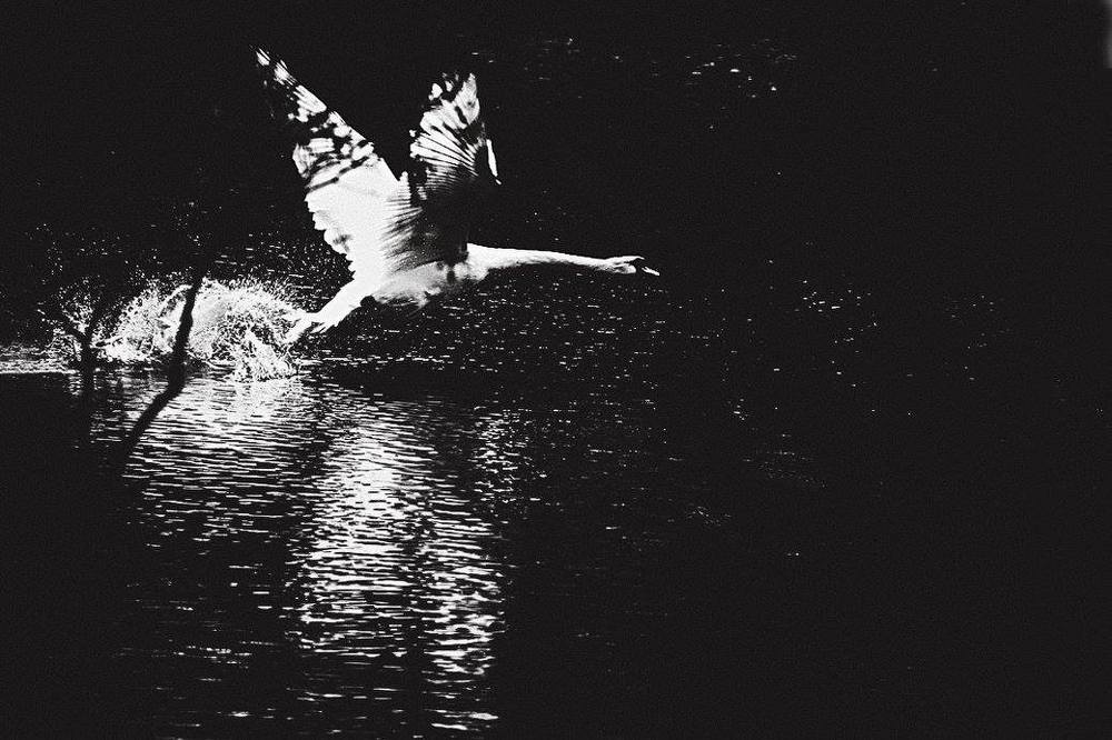 Фотография автора Елена Лаврова