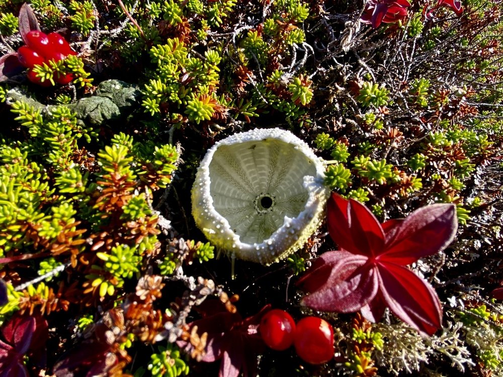 Photograph by Валерия Ушакова