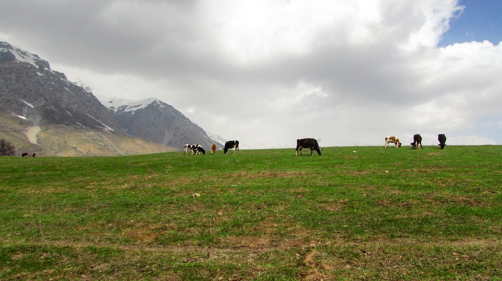 Photograph by Тихонина Анна