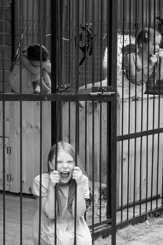 Фотография автора Maria Alekseeva