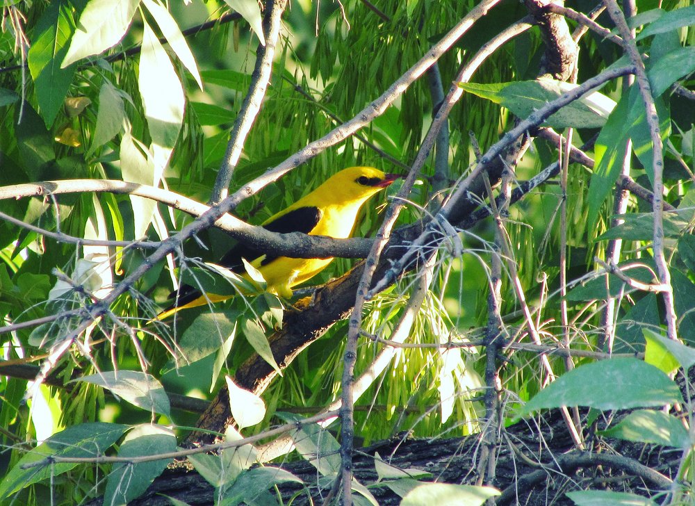 Photograph by Тихонина Анна