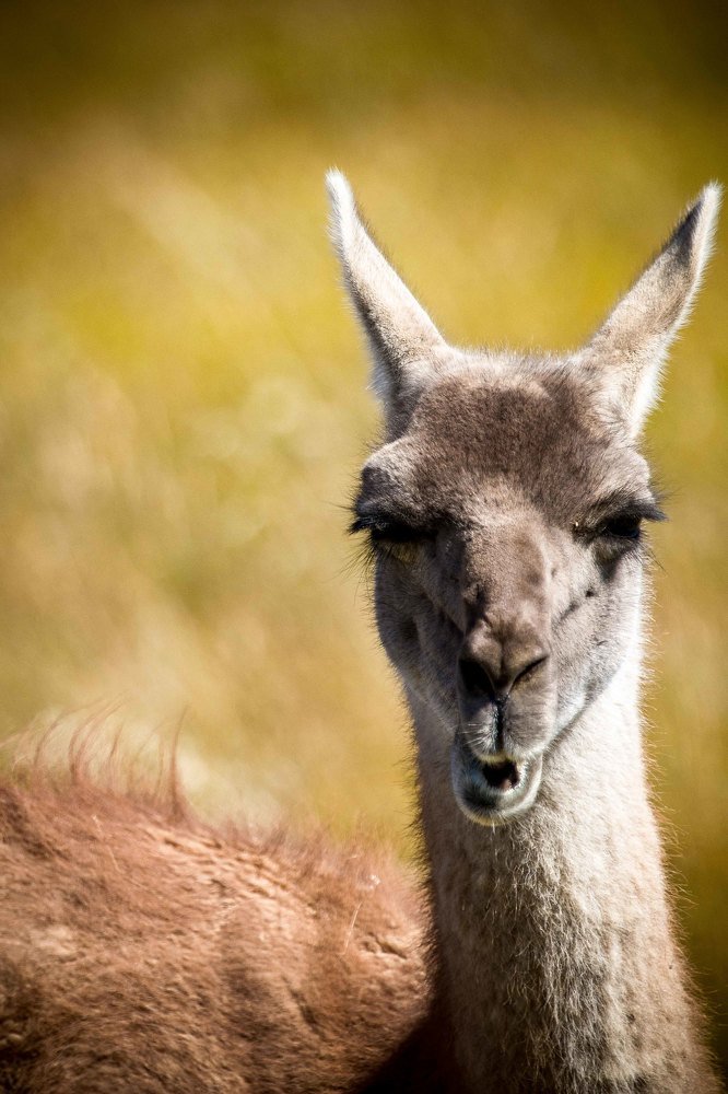 Photograph by Dmitry Skatov