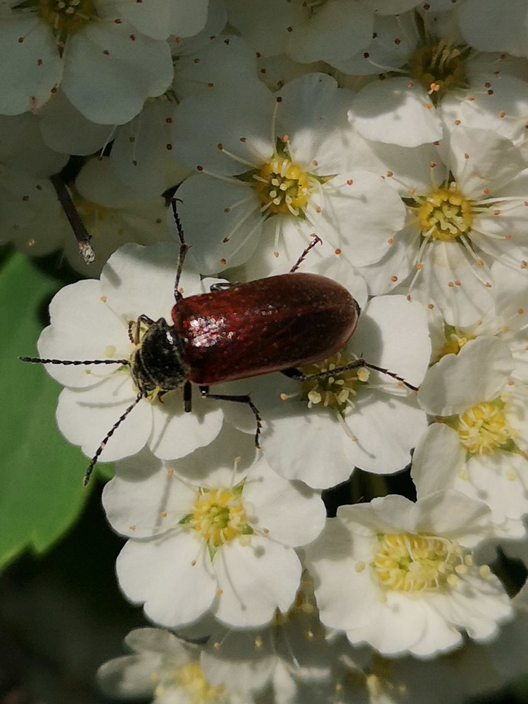 Photograph by Нина Колпакова