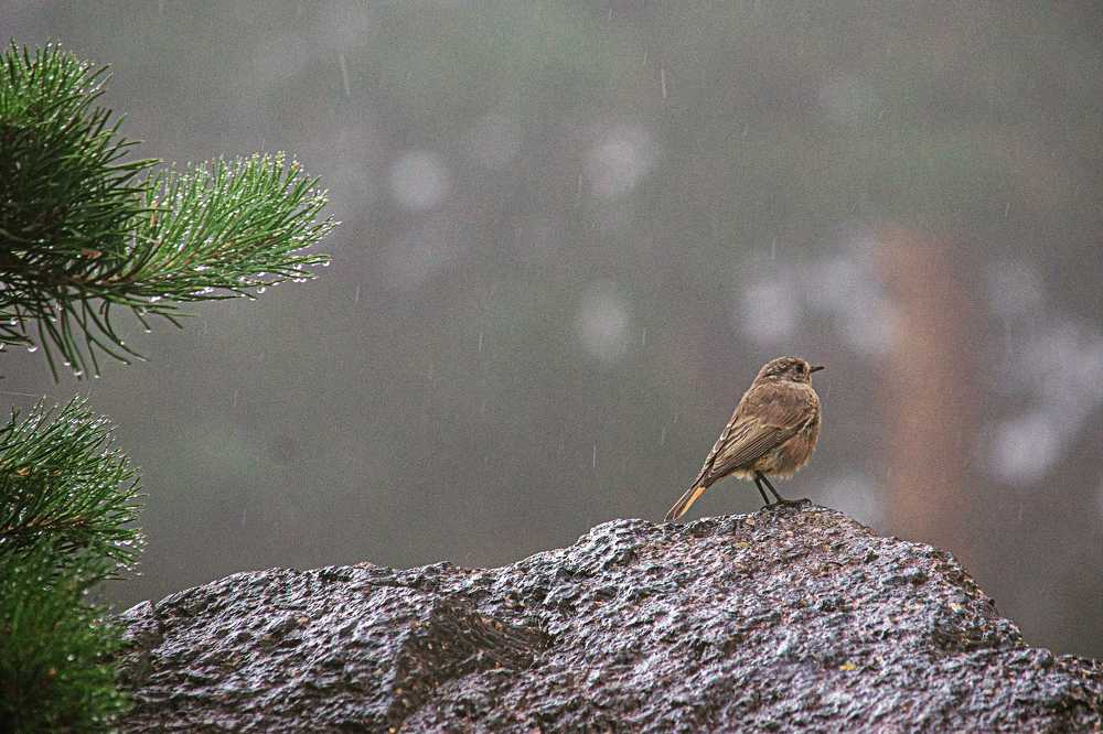 Photograph by Анна Муковозова