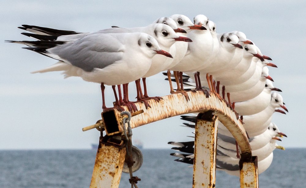Photograph by Юрий Бершадский