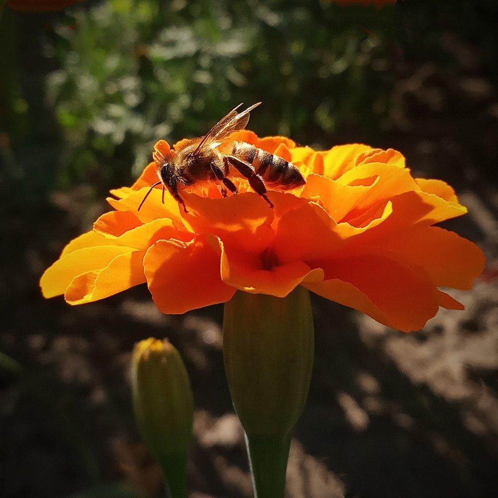 Photograph by Ланская Светлана