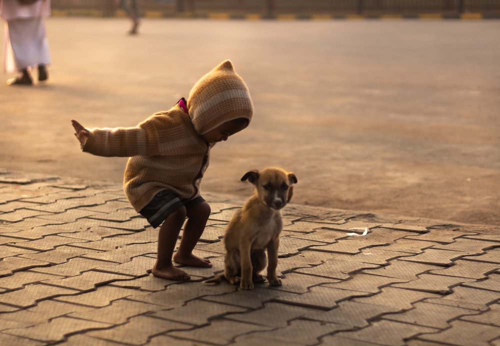 Photograph by SACHIN GHAI