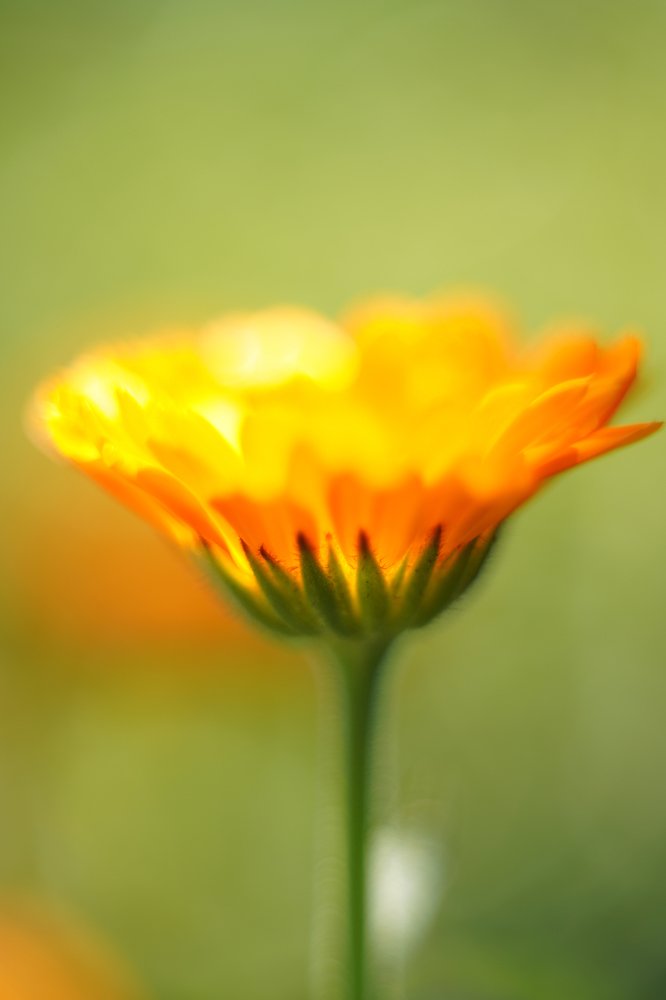 Photograph by Дмитрий Вербицкий