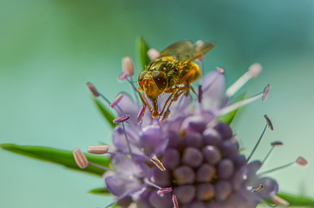 Photograph by LYUDMYLA POKRYSHEN