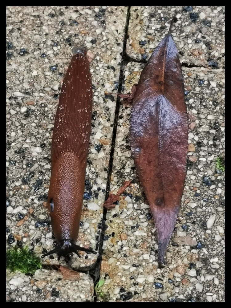 Photograph by Natali