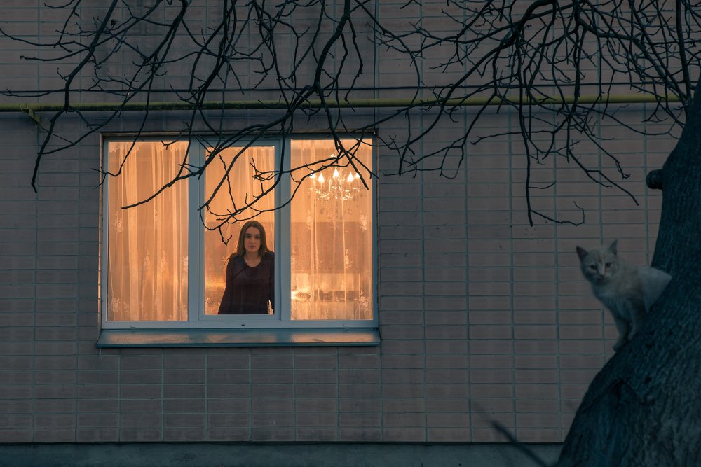 Фотография автора Светлана Селезнёва