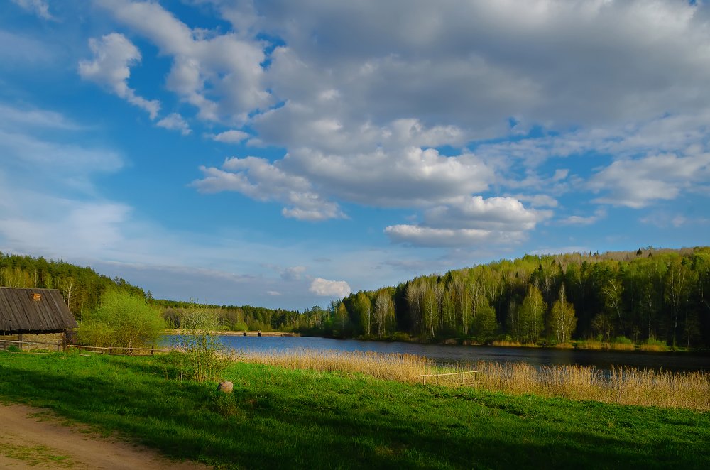 В начале лета