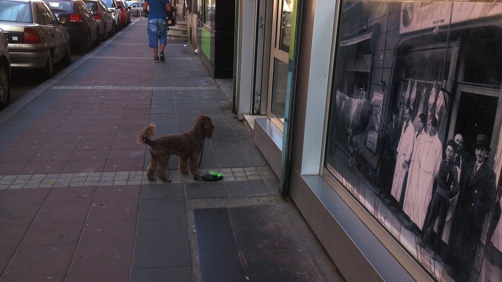 Фотография автора Kreculj Dejan