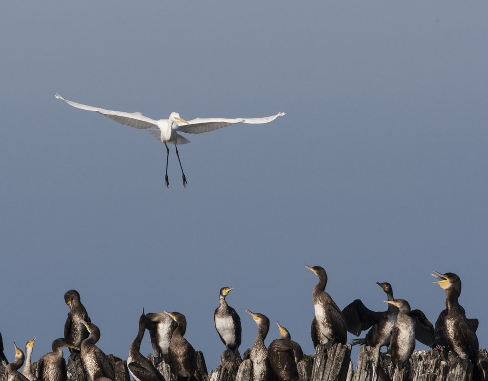 Фотография автора Oskars Smelins