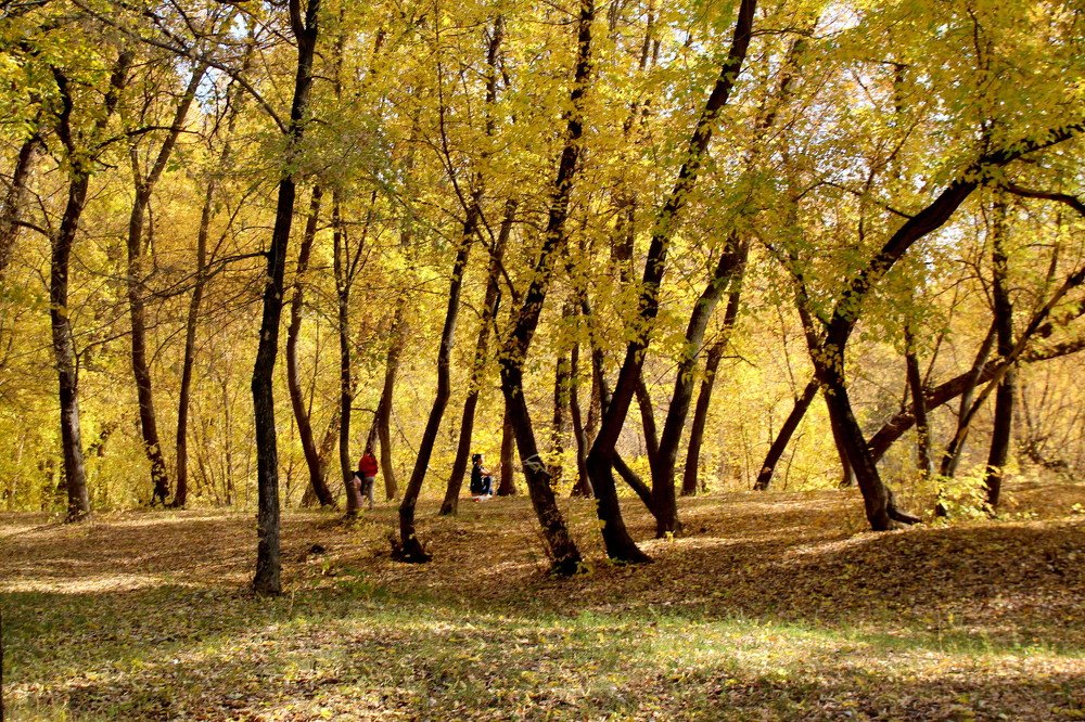 Photograph by Жанна Валиева