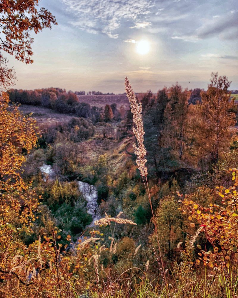 Photograph by Юлия Гусарова