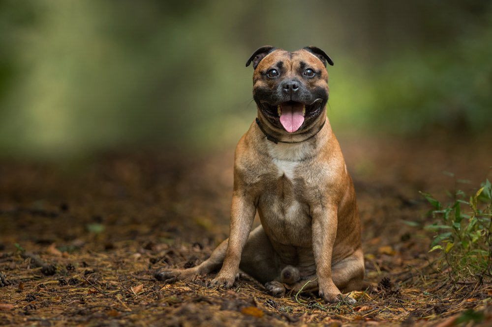 Photograph by Dariusz Dryl