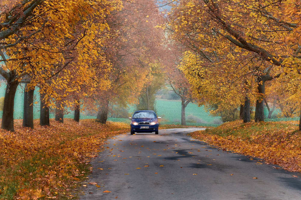 Photograph by Пётр Дедковский