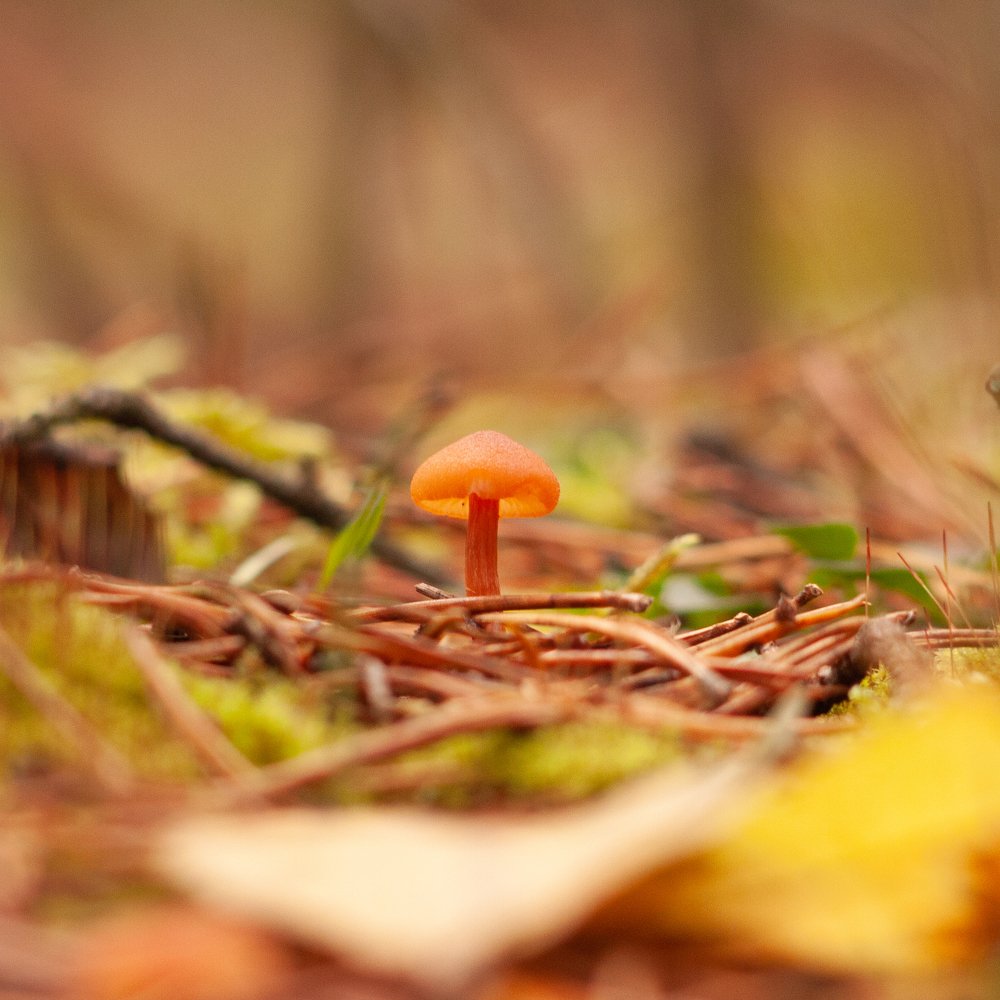 Photograph by Обухов Алексей