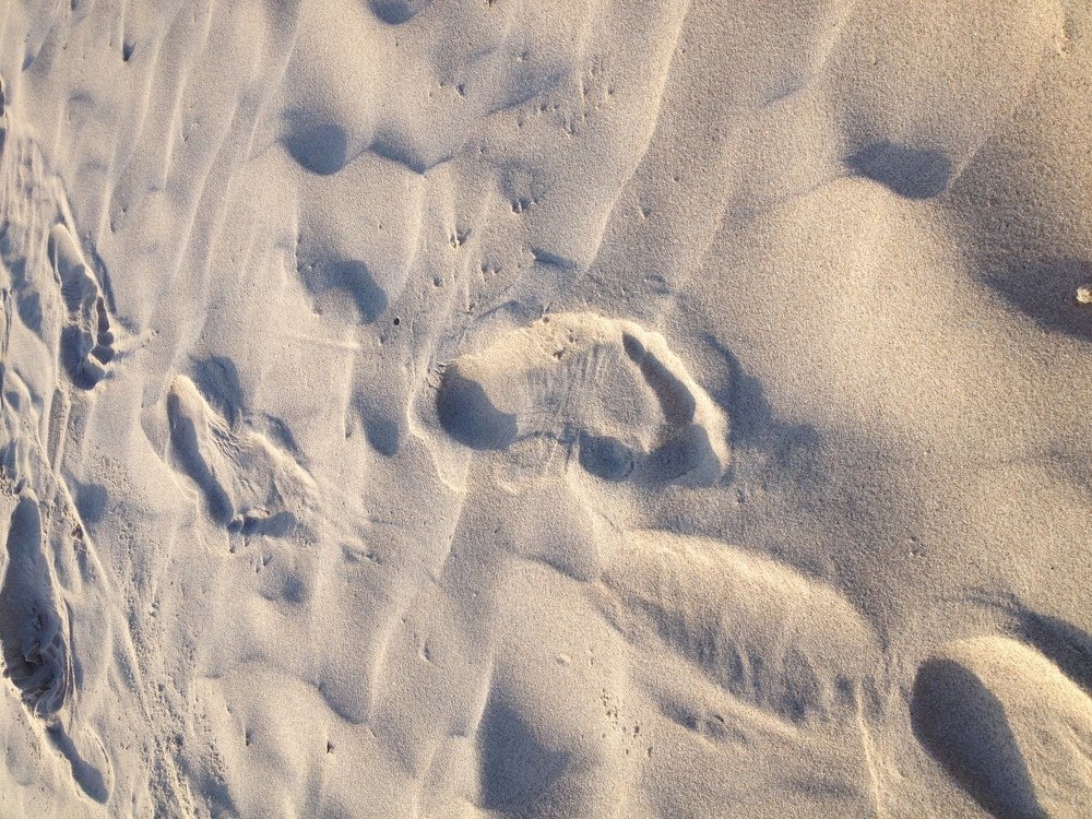 Photograph by Tatiana Zuikova