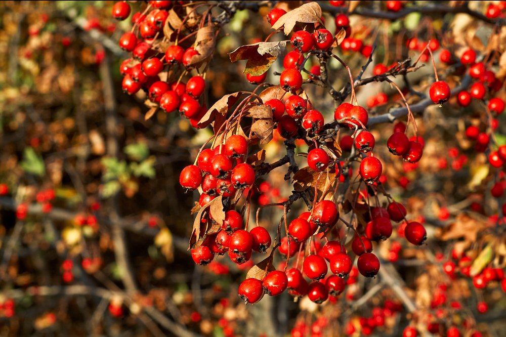 Photograph by Yaroslav