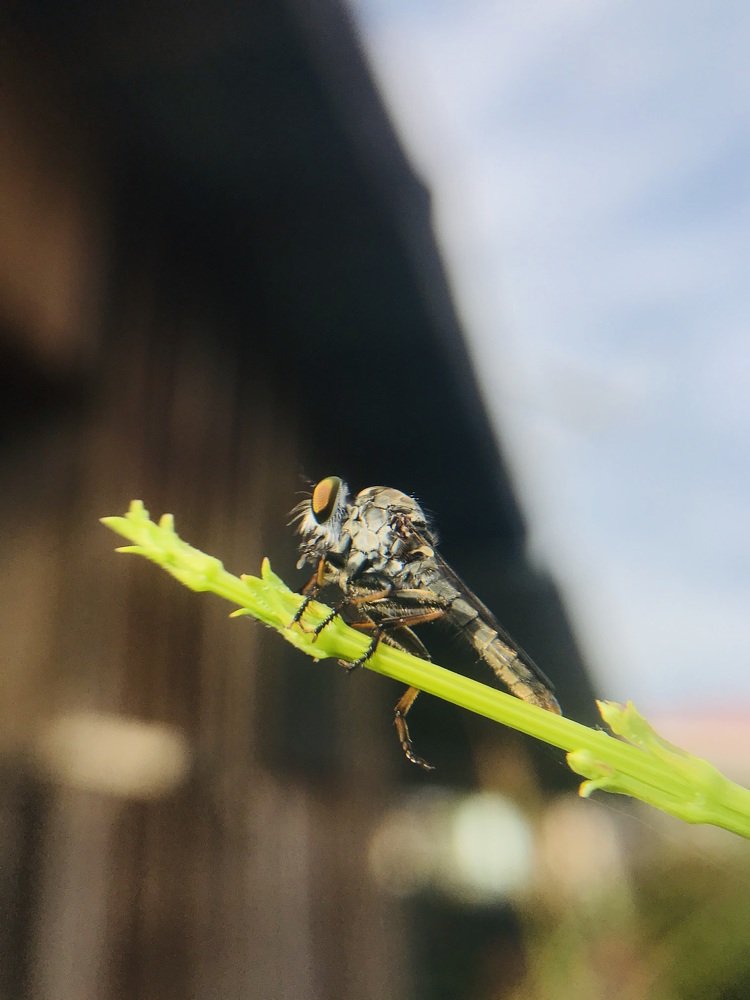 Photograph by Taufiq Aspal