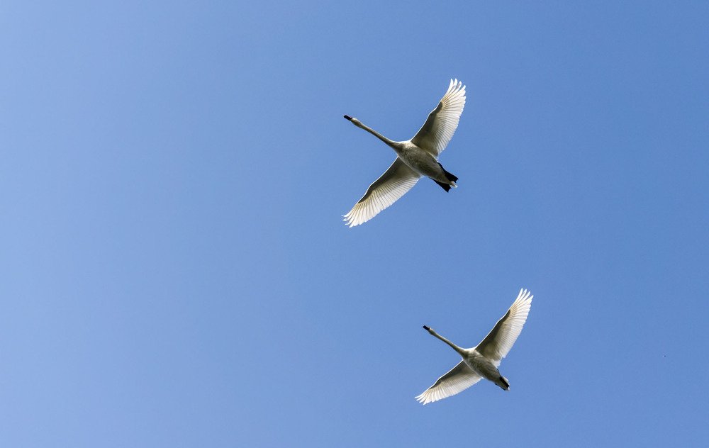 Photograph by Олесь