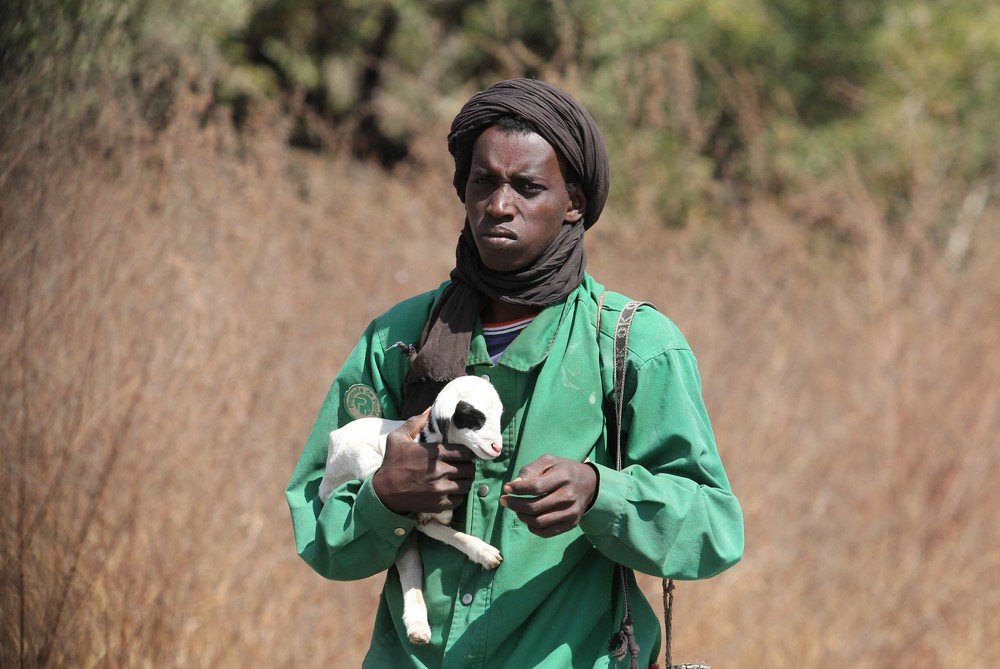 Фотография автора Oskars Smelins