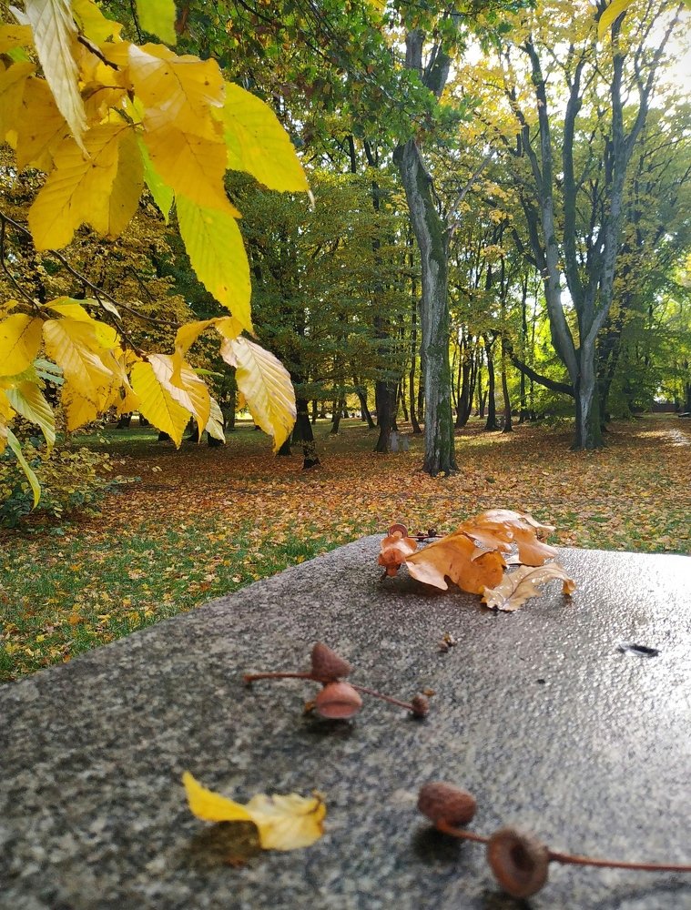 Photograph by Наталья Ткаченко