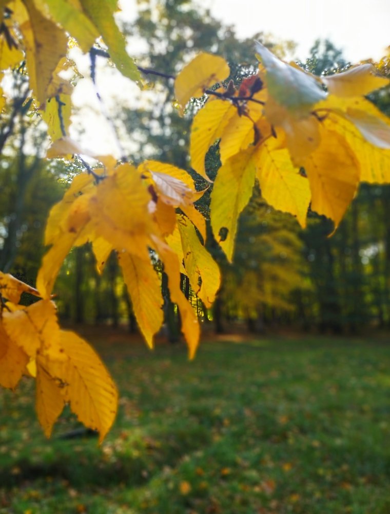 Photograph by Наталья Ткаченко