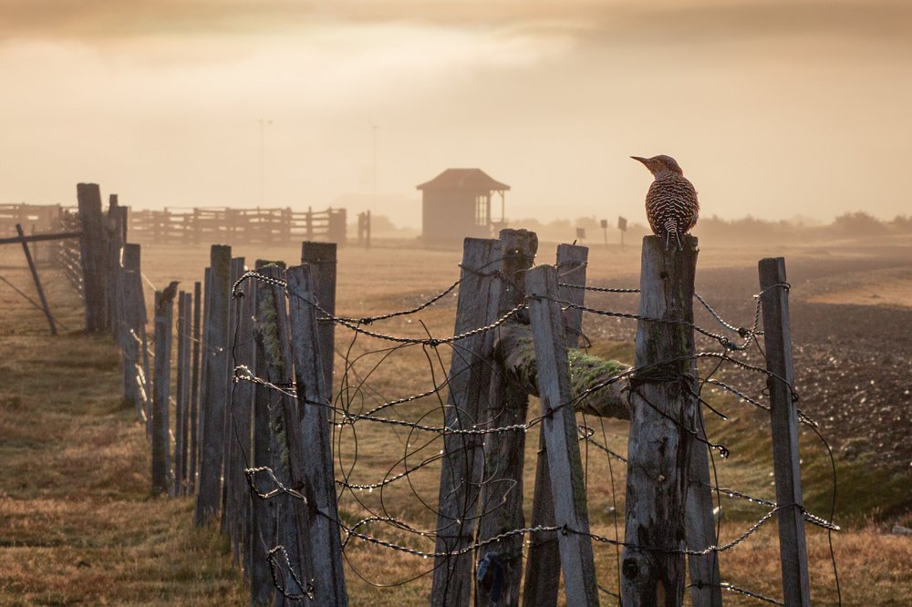 Photograph by Evgeny S