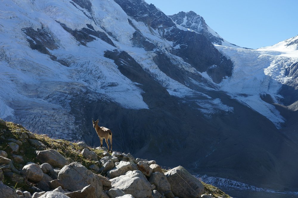 Photograph by Сергей Сережников